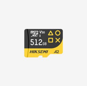 Hiksemi FUTURE Gaming Micro SD Card